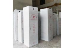 China HFC-227ea FM200 Gas Suppression System for Energy Storage Cabinets 100L supplier