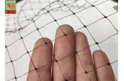 China Light Bird PP Sqaure Hole 15mm Garden Mesh Netting supplier