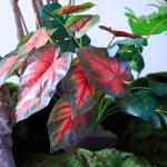 Touch Silk Artificial Potted Floor Plants For Wedding Decoration for sale