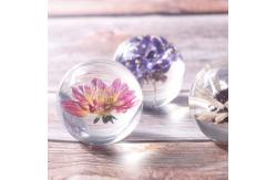 China Custom Resin Paperweight 3 Inch 4 Inch 5 Inch Crystal Paper Weights supplier