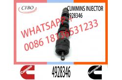 China 4928346 QSK23 Diesel Engine Common Rail Fuel Injector 4087887 4010163 3766446 4326781 supplier