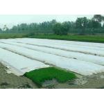 Spunbond Non Woven Agriculture Cover Fabric , Landscape PP Fabrics for Green House for sale