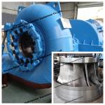 Vertical or Horizontal Installation Francis Turbine Generator with Automatic Control for Power Plant for sale