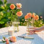 Custom Design 5inch 10inch Classical Cylinder Flower Glass Vase for sale