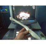 Used Ultrasound Probe GE IC5-9H Endocavity/Ultrasound Medical Equipment for sale
