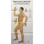 3pcs Meridian Acupuncture Chart ISO Acupuncture Culture for sale