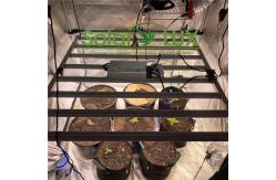 China Full Spectrum Hydroponic LED 800watt Lm301b Grow Light supplier