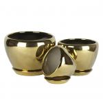 Stylish And Functional Ceramic Pots For Gardening And Landscaping Needs