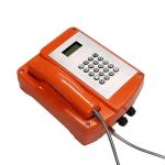 VoIP Explosion Proof Telephone Free Dial Wall / Pillar Mounting ATEX Certificated