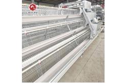 China Hot Galvanized Wire Mesh Battery Cage System For Layers A Frame supplier