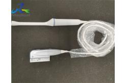 China GE IC9-RS Endocavity Ultrasound Transducer Probe Ultrasound Machine supplier