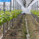 Greenhouse Drip Tape System Warehouses 16mm Pipe Greenhouse Irrigation System for sale