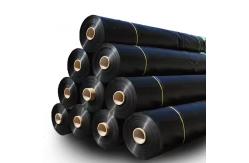 China 2.5mm 100Mil ASTM HDPE Geomembrane Bottom Lining For Tailings Treatment supplier