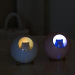 Homefish OEM Hava Nemlendirici 220ml Water Tank Capacity Luftbefeuchter Colorful Night Light Mini Umidificador Humidifier for sale