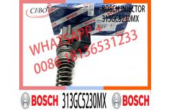 China Injector Pump 313GC5230M 313GC5230MX for DAF XF95 95XF 480 CF75-85 supplier