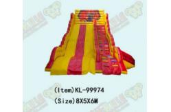 China Customized Large Children Fun Park Inflatable Slide For Rentals supplier