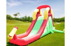 China public Backyard 18 OZ Tarpaulin Commercial Inflatable Slide supplier