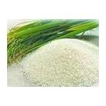 Thiram 95% TC /fungicide/White to cream powder for sale