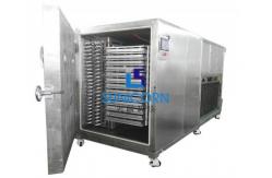 China Energy Saving Production Freeze Dryer Remote Control Monitoring Available supplier