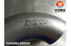 China ASTM A403 WPS31254-S ELBOW supplier