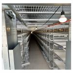 Hot Dip Galvanize Steel H Type Poultry Farm Equipment Battery Layer Automatic Chicken Cage With Egg Laying System for sale