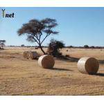 Knitted Hay Bale Netting HDPE Silage Bale Net Anti Aging For Farmers for sale