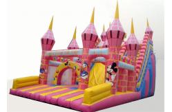 China Commercial PVC Tarpaulin Inflatable Theme Park With Double Slide Combo supplier