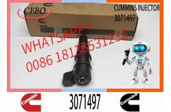China Fuel Injector Assembly M11 PT 3064881 3071497 Fuel Injector supplier