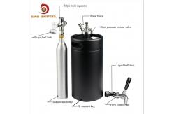 China Insulated Ball Lock Mini Keg Tap System With Sodasteam Bottle supplier