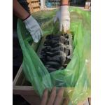 Yanmar Excavator 4TNV98 4TNV98T Diesel Engine Cylinder Block Assembly