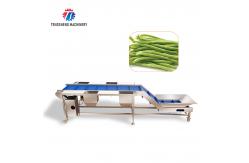 China Industrial Automatic Leafy Vegetable and Fruit Lifting Sorting Table Machine supplier