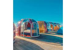 China Custom Size 6m Geodesic Dome Security Assurance Bubble Dome Igloo Tent supplier