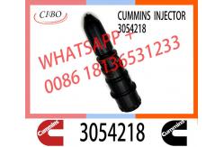 China Common Rail Injector 3047973 3071497 4914537 3054218 for Diesel Engine NT855 supplier
