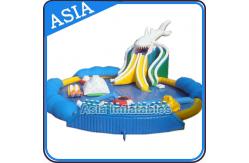 China Penguin Shape Inflatable Water Park , Inflatable Water Park Slides Combo supplier