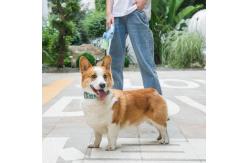 China Retractable Pet Traction Rope Leash Stretch 3M Dog Leash For Walking supplier