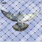 Rot Proof Bird Deterrent Mesh 3/4 Bird Protection Net For Balcony for sale