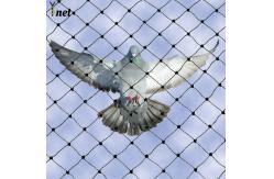 China Rot Proof Bird Deterrent Mesh 3/4 Bird Protection Net For Balcony supplier