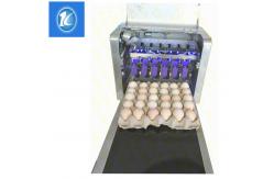 China SGS Egg Stamping Equipment / Egg Printer Machine With 6 Head supplier