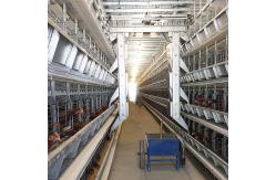 China SGS 3-10layers Automatic Poultry Feeding System H Shape Commercial Use supplier