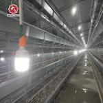 Hot Galvanized Baby Chick Broiler Chicken Cage For Chicken Farm for sale