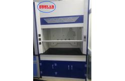 China Cutomized Made Wall Mounted Fume Cupboards With Noise Level ≤60dB supplier