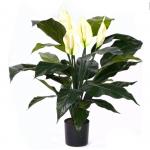 Spathiphyllum Peva Artificial Potted Floor Plants White Flowers Indoor Decor for sale