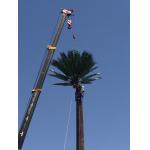 40m Grd Monopole Pine Tree Tower Camouflaged for sale