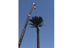 China 40m Grd Monopole Pine Tree Tower Camouflaged supplier