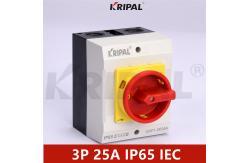 China IP65 25A 3 Phase 230-440V Electrical Isolator Switches Waterproof supplier