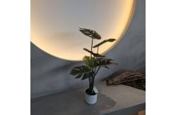 China 70cm Artificial Monstera Tree Artificial House Plants For Indoor / Outdoor supplier