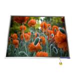 LTM15C443L 15.0 inch 1024*768 TFT LCD Display Screen Panel for sale