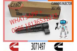 China Fuel Injector Assembly M11 PT 3064881 3071497 Fuel Injector supplier