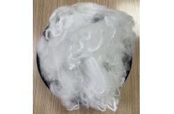 China Polytrimethylene Tereph Thalate Fiber PET Fiber 9D supplier