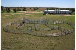 China 30pcs Bundle Heavy Duty Portable Cattle Panels For Sale & Gate supplier